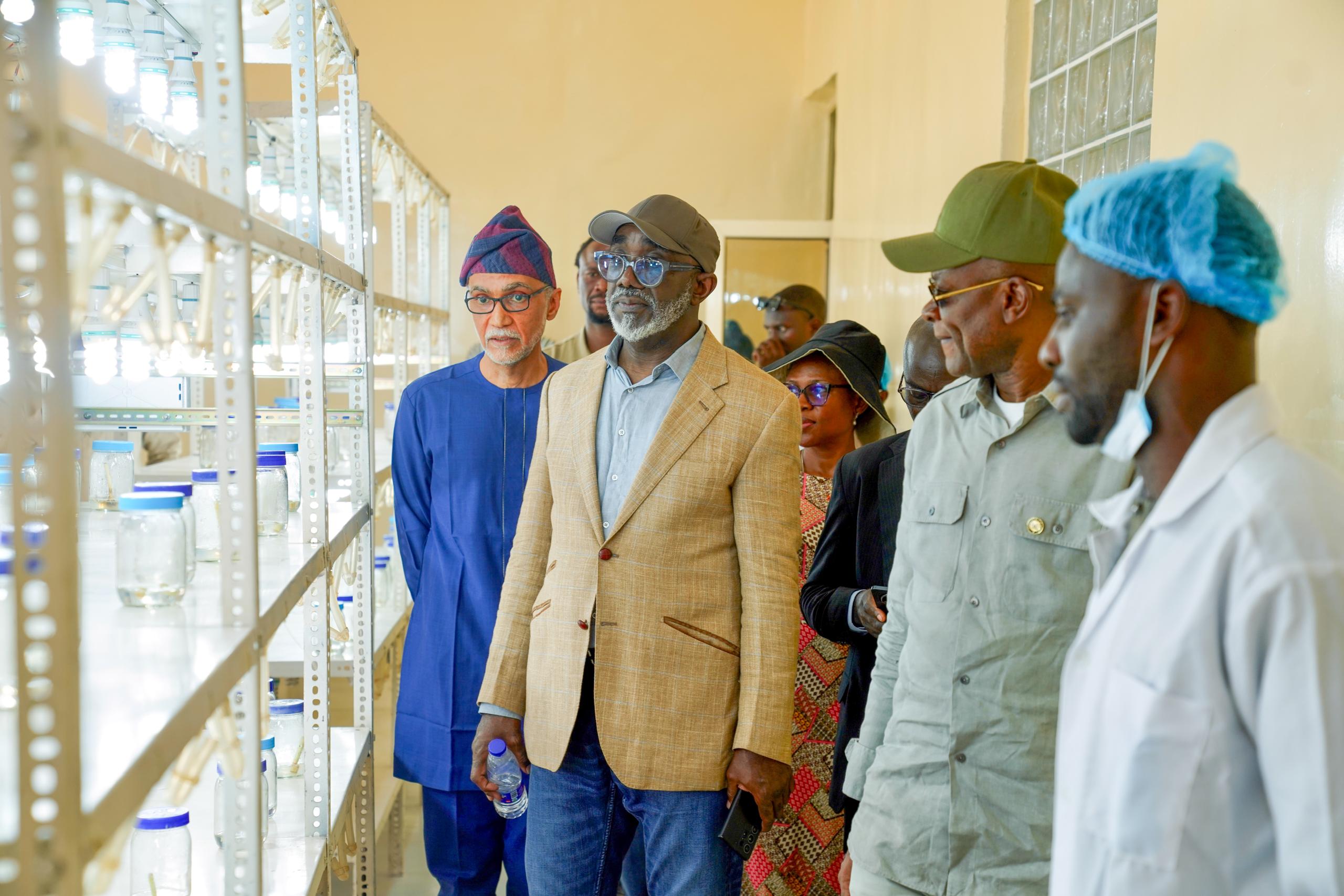 Minister Urges Nigeria Sugar Institute to Reach Full Capacity Following Successful Reforms