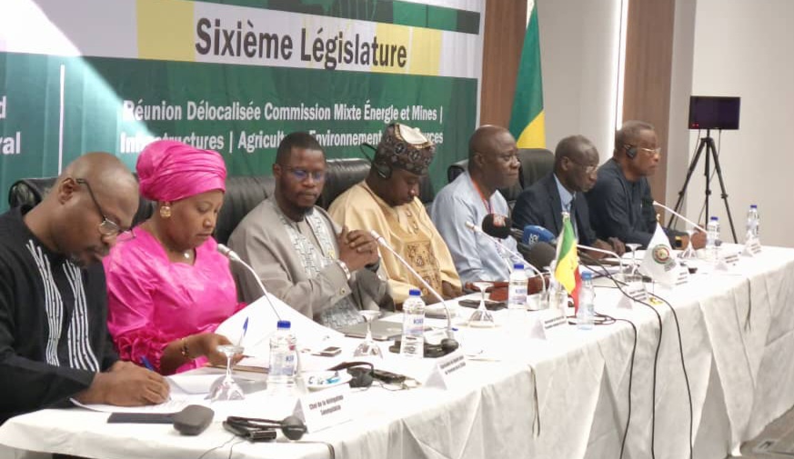 ECOWAS Parliament Pushes For Regional Green Funds, Mini-Grinds to Tackle Energy Poverty