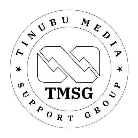 Governors’ N100,000 Minimum Wage Proposal Shows Impact Of Tinubu’s Reforms- TMSG