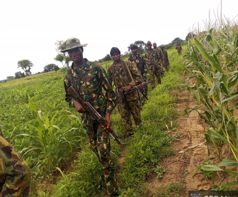 Troops Rescue Two Kidnap Victims, Recover 94 Rustled Livestock in Kaduna, Kano
